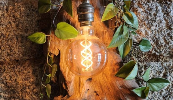 Le restaurant - Le 24 - Corte - top restaurant CORTE